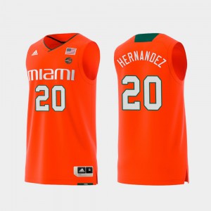 Swingman College Basketball Orange Men Miami Hurricane Dewan Hernandez Jersey #20 Replica Stitched 935339-627