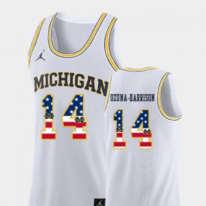 Men Stitch #14 Michigan Rico Ozuna-Harrison Jersey White USA Flag College Basketball 611965-742