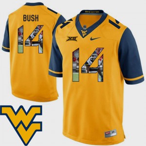 Player Football Pictorial Fashion Mountaineers Tevin Bush Jersey Gold #14 For Men 429544-925