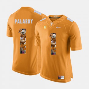 Pictorial Fashion Men's Tennessee Michael Palardy Jersey NCAA Orange #1 608093-675