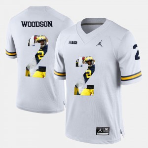 Stitched Player Pictorial #2 For Men University of Michigan Charles Woodson Jersey White 479688-963