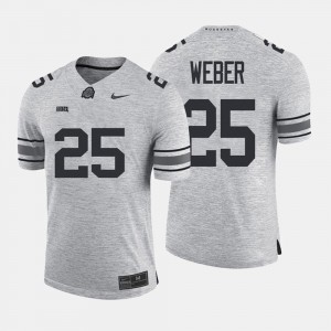 #25 Gridiron Gray Limited Gridiron Limited Ohio State Mike Weber Jersey Gray Men's University 430409-451