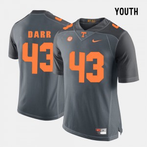 Youth Embroidery Grey Tennessee Vols Matt Darr Jersey #43 College Football 946838-490