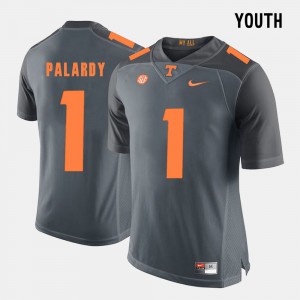 University Of Tennessee Michael Palardy Jersey College #1 Grey Youth College Football 426268-192